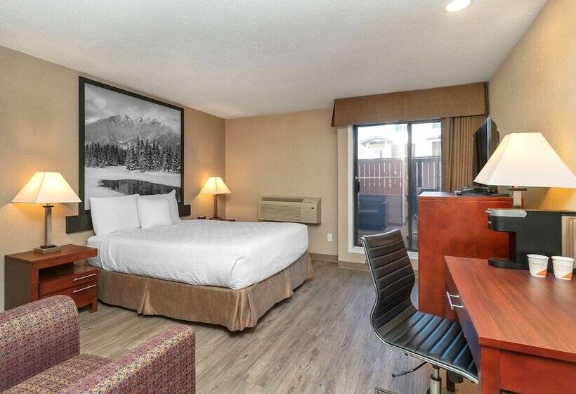 酒店 Quality Inn & Suites