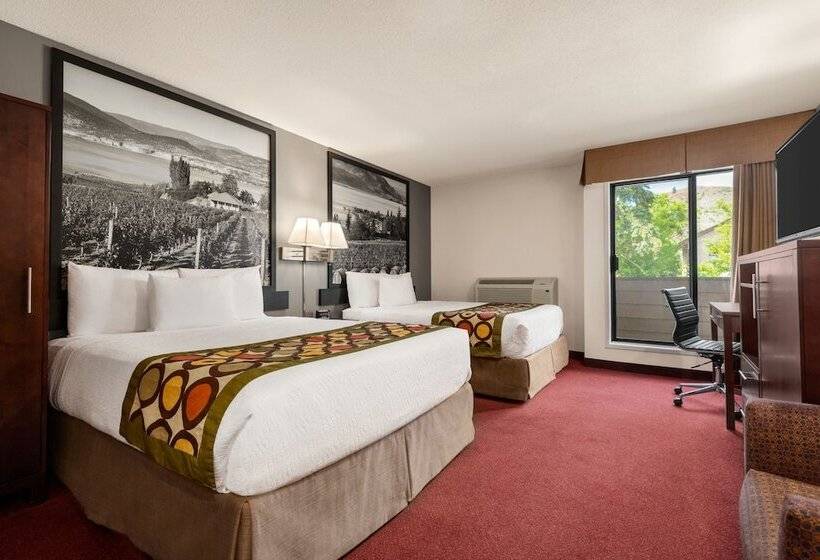 酒店 Quality Inn & Suites