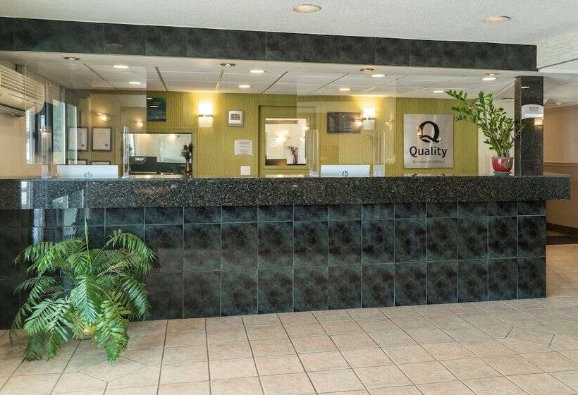 酒店 Quality Inn & Suites