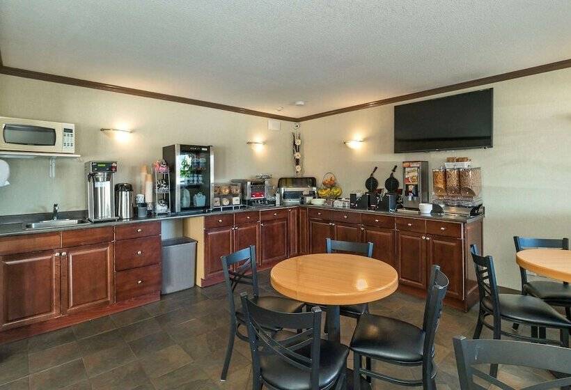 酒店 Quality Inn & Suites