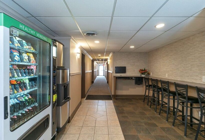 酒店 Quality Inn & Suites