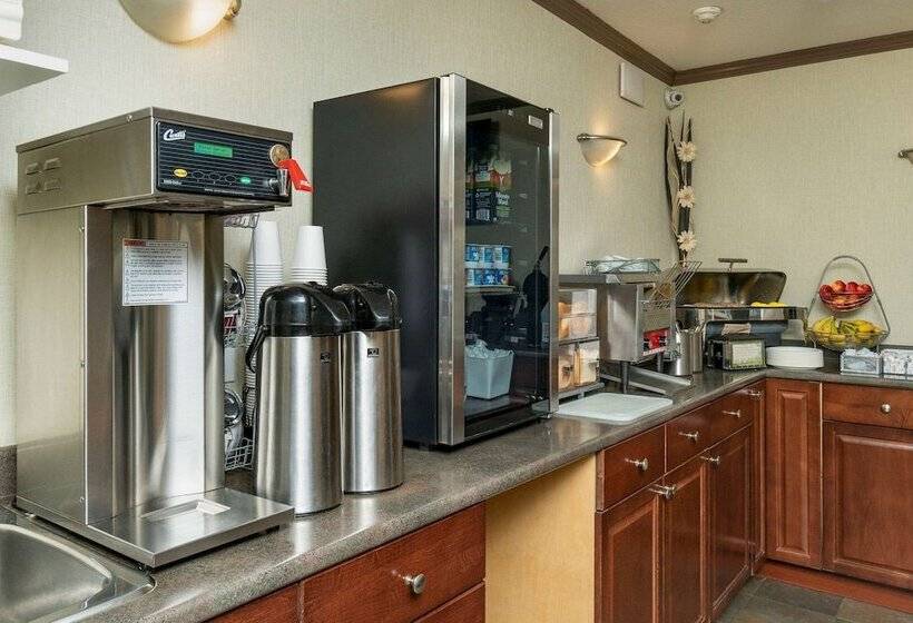 酒店 Quality Inn & Suites