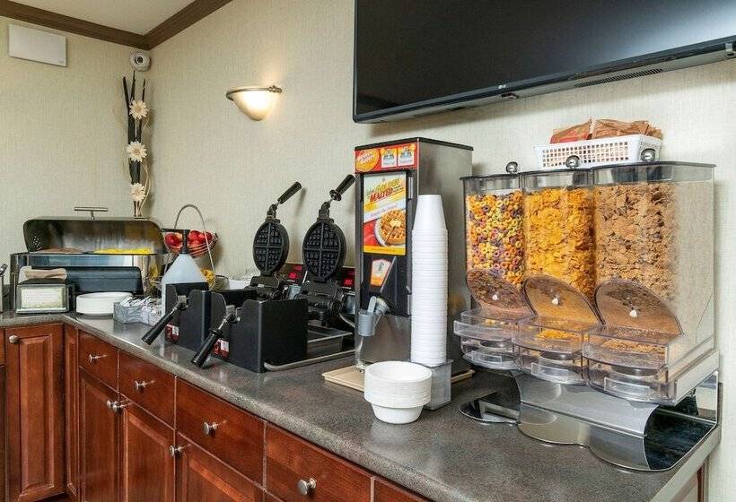 酒店 Quality Inn & Suites