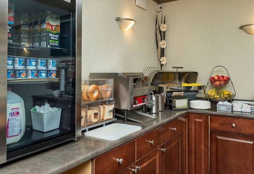 酒店 Quality Inn & Suites