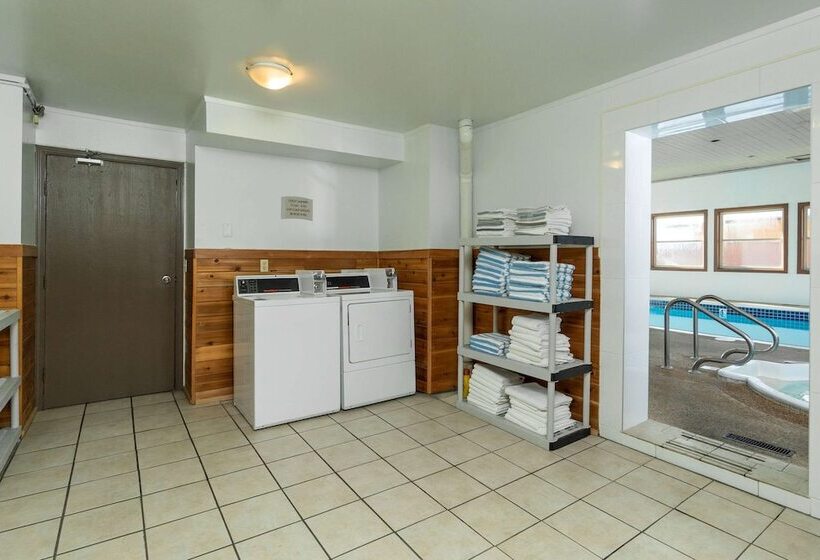 酒店 Quality Inn & Suites