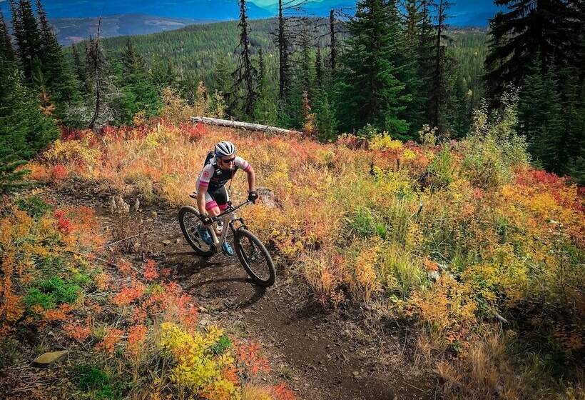 酒店 Quality Inn & Suites