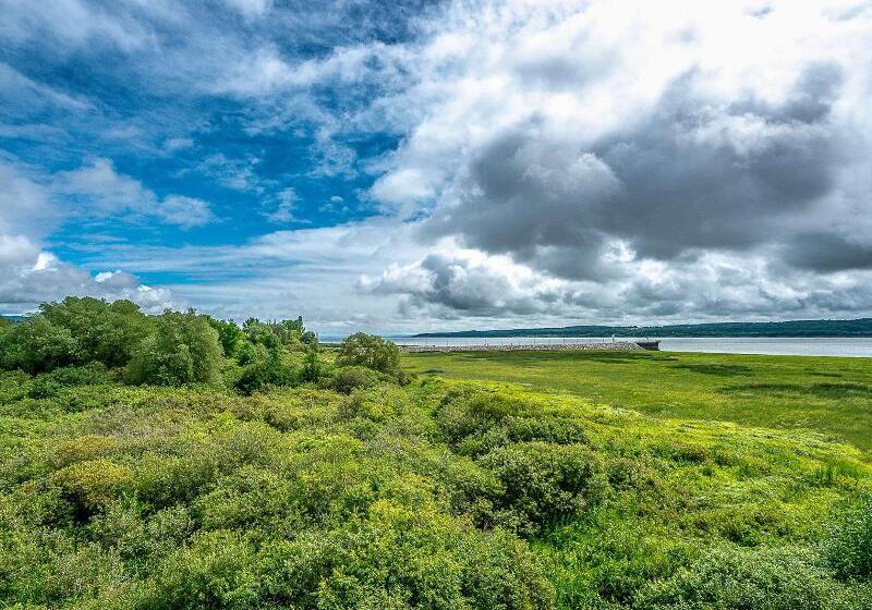 Отель Quality Suites