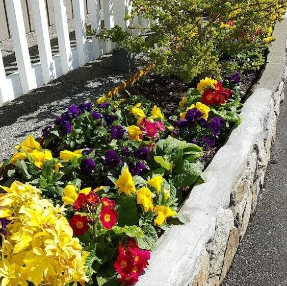 בית מלון כפרי The Cedarwood Inn & Suites