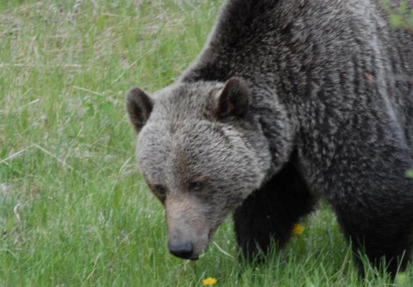 בית מלון כפרי The Georgetown Inn