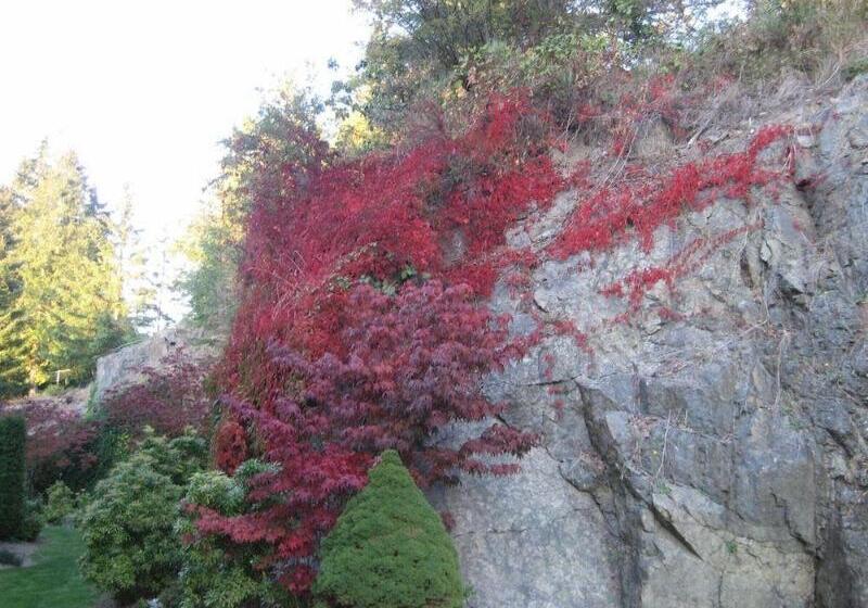 The Grand Hotel Nanaimo