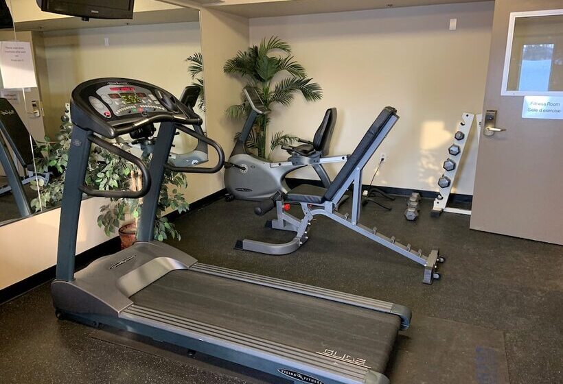 酒店 Travelodge Suites By Wyndham Moncton