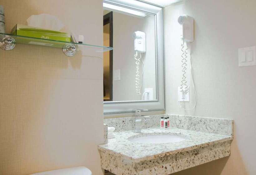 בית מלון כפרי Wyndham Garden Medicine Hat Conference Center