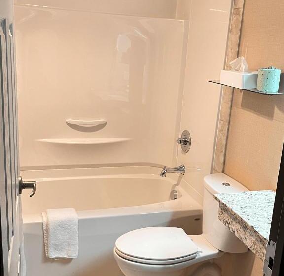 בית מלון כפרי Wyndham Garden Medicine Hat Conference Center