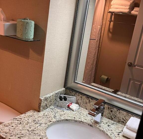 בית מלון כפרי Wyndham Garden Medicine Hat Conference Center