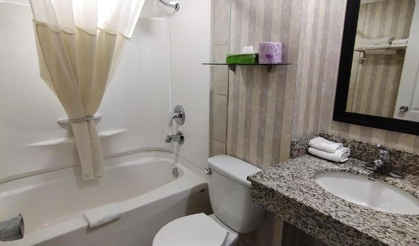 בית מלון כפרי Wyndham Garden Medicine Hat Conference Center