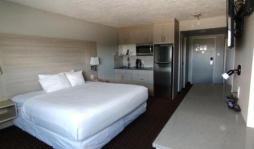 בית מלון כפרי Wyndham Garden Medicine Hat Conference Center