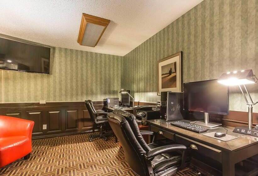 בית מלון כפרי Wyndham Garden Medicine Hat Conference Center