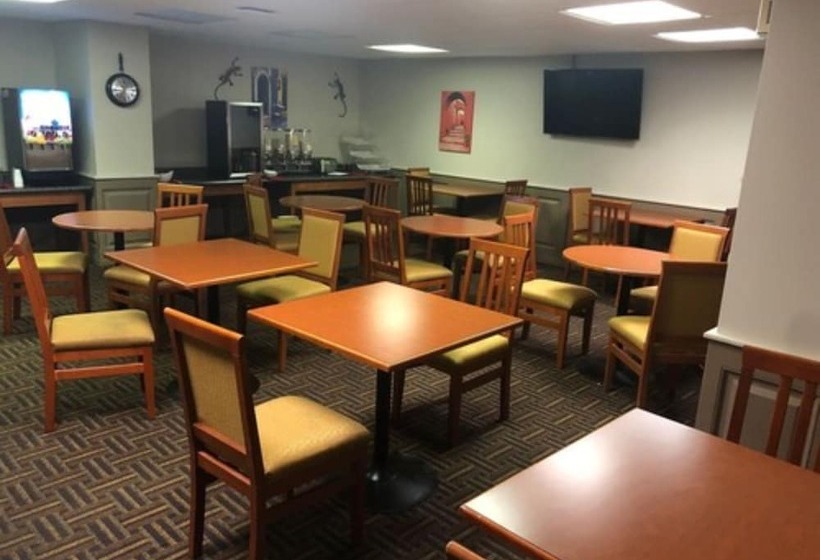 בית מלון כפרי Wyndham Garden Medicine Hat Conference Center