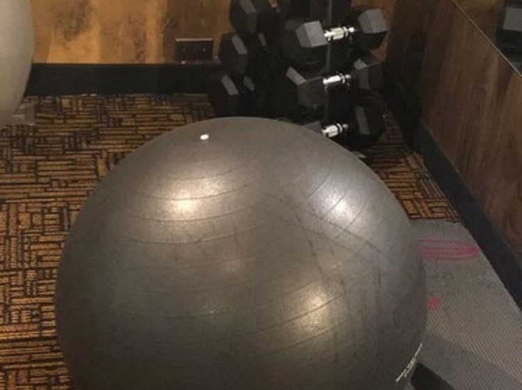 בית מלון כפרי Wyndham Garden Medicine Hat Conference Center