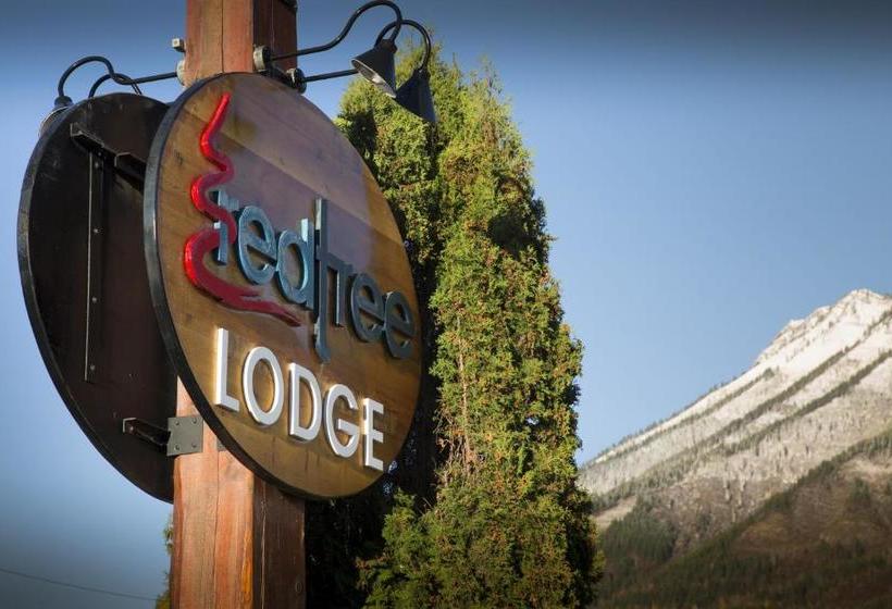 モーテル Red Tree Lodge