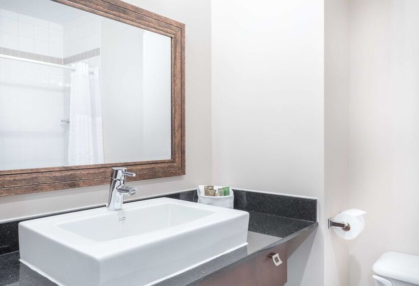 酒店 Ambassadeur Et Suites