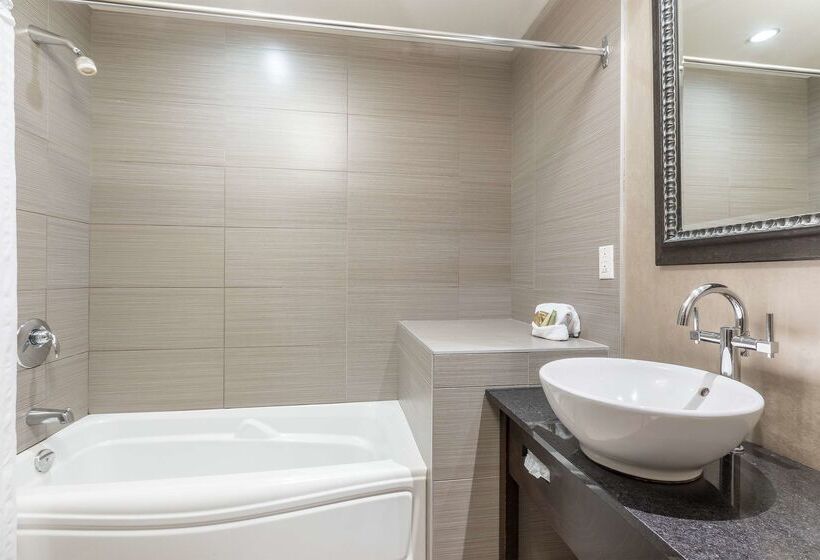 酒店 Ambassadeur Et Suites