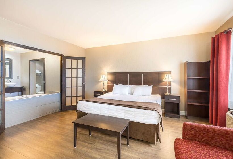 酒店 Ambassadeur Et Suites