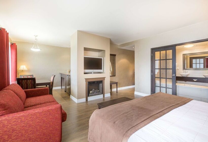 酒店 Ambassadeur Et Suites