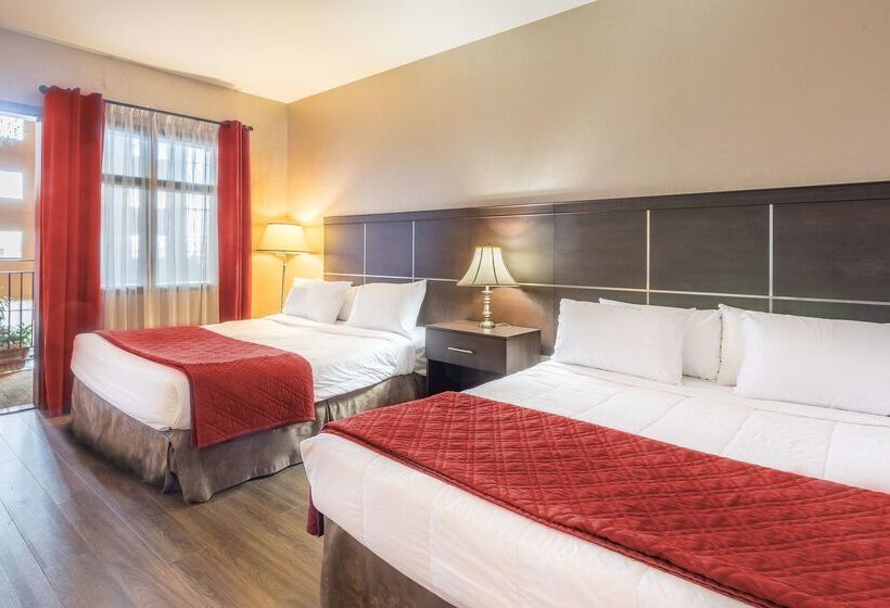 فندق Ambassadeur Et Suites