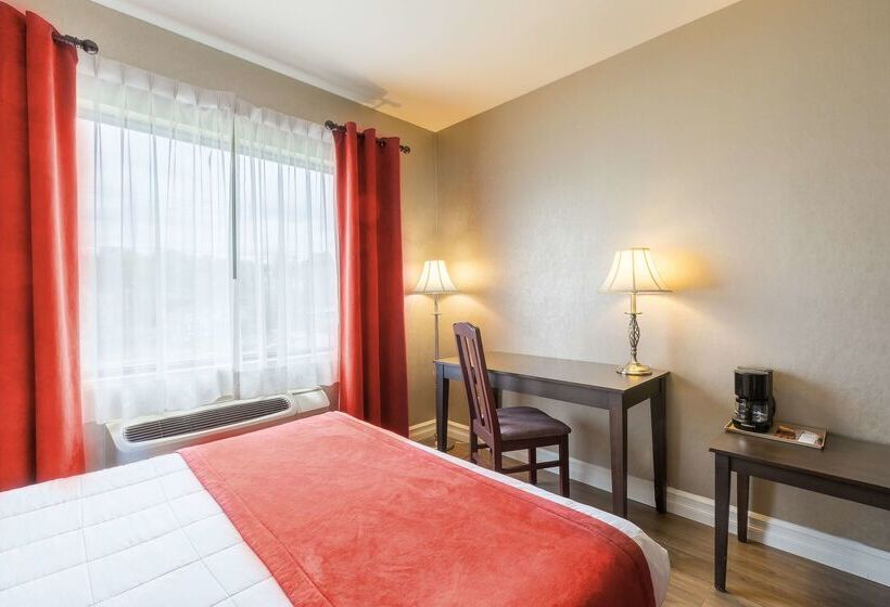 酒店 Ambassadeur Et Suites