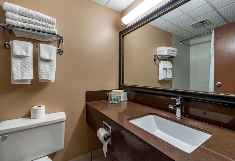 호텔 Best Western Marquis Inn & Suites