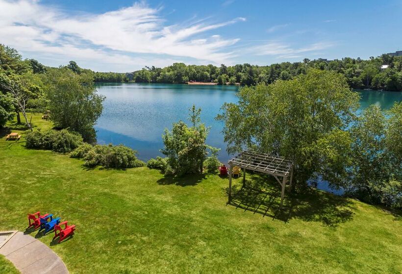 Best Western Plus Chocolate Lake Hotel   Halifax