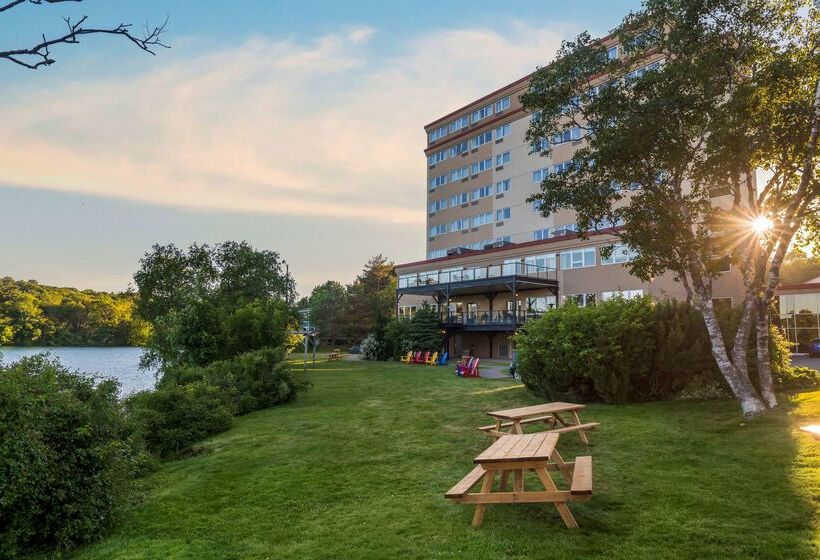 Best Western Plus Chocolate Lake Hotel   Halifax