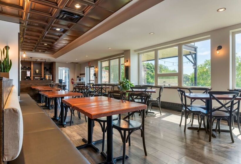 Best Western Plus Chocolate Lake Hotel   Halifax