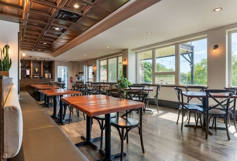 Best Western Plus Chocolate Lake Hotel   Halifax