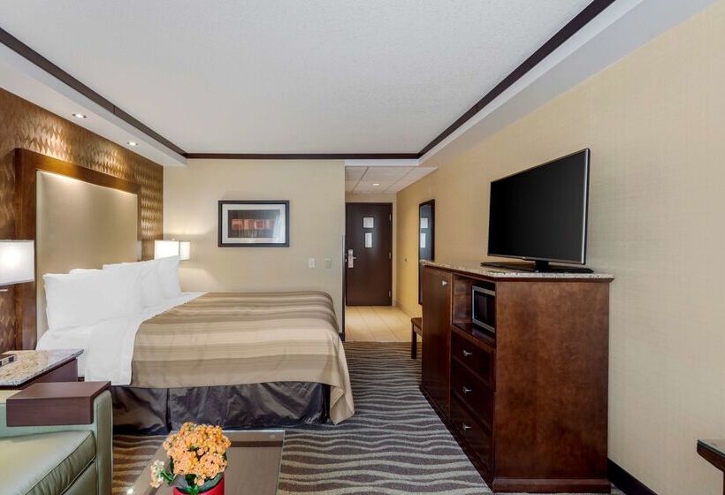 בית מלון כפרי Best Western Plus Edmonton Airport