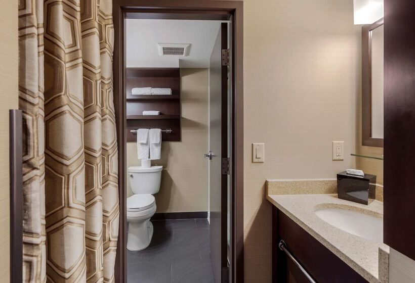 ホテル Best Western Plus Edmonton Airport