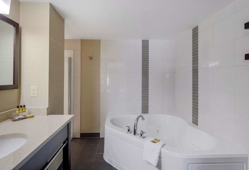 ホテル Best Western Plus Edmonton Airport