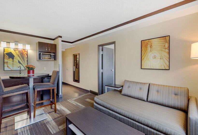 ホテル Best Western Plus Edmonton Airport