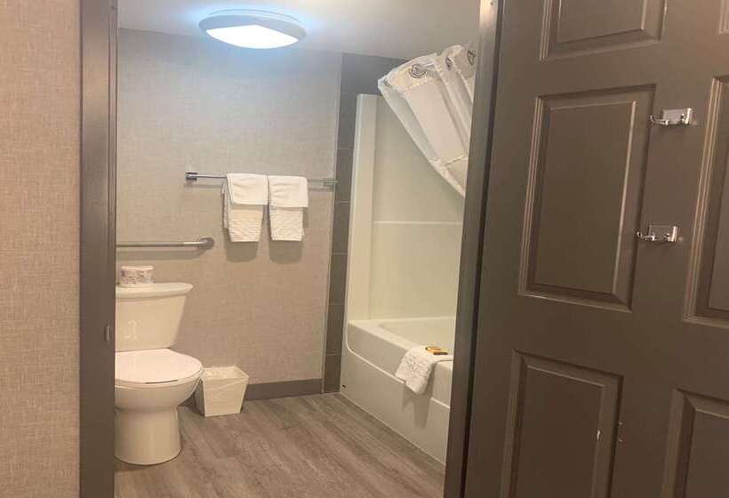 בית מלון כפרי Best Western Plus West Edmonton