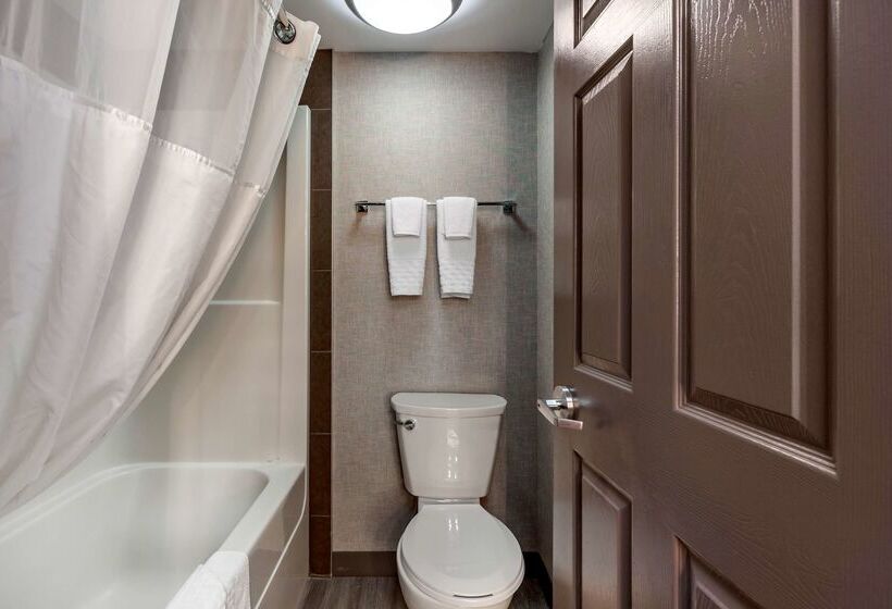 בית מלון כפרי Best Western Plus West Edmonton