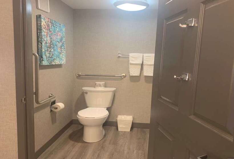 בית מלון כפרי Best Western Plus West Edmonton