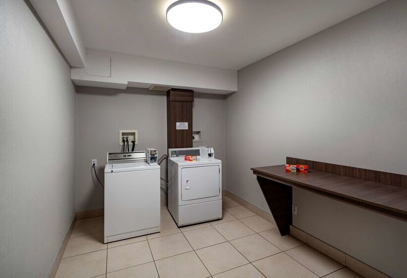 בית מלון כפרי Best Western Plus West Edmonton