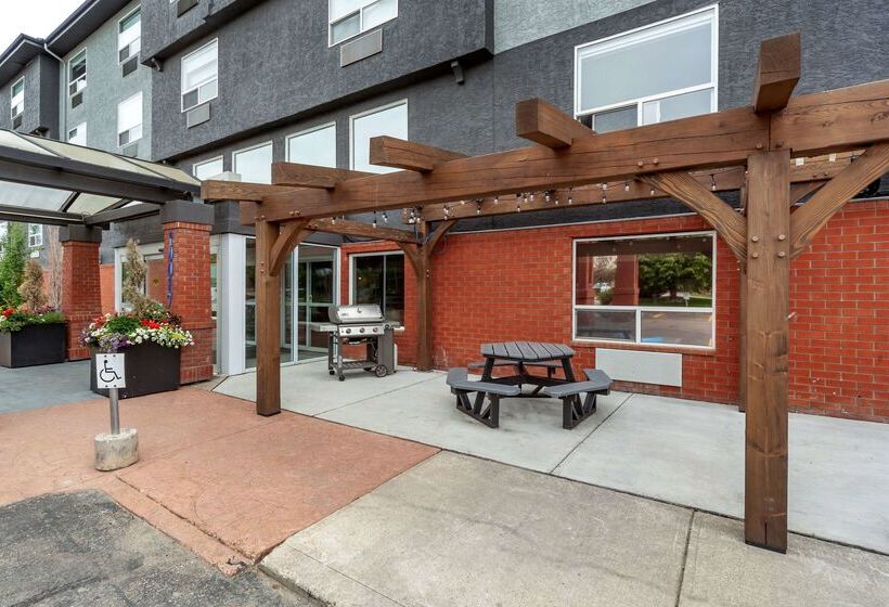 בית מלון כפרי Best Western Plus West Edmonton