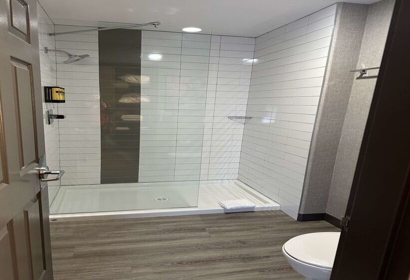 בית מלון כפרי Best Western Plus West Edmonton