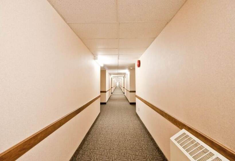 فندق Broadway Lodge