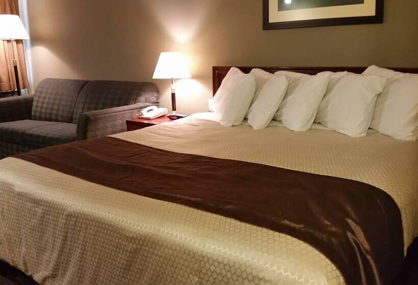 فندق Broadway Lodge