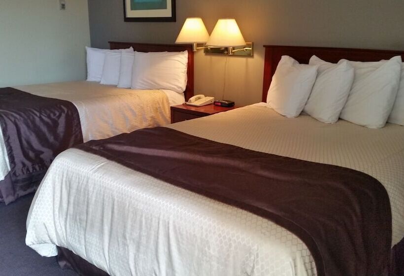 فندق Broadway Lodge