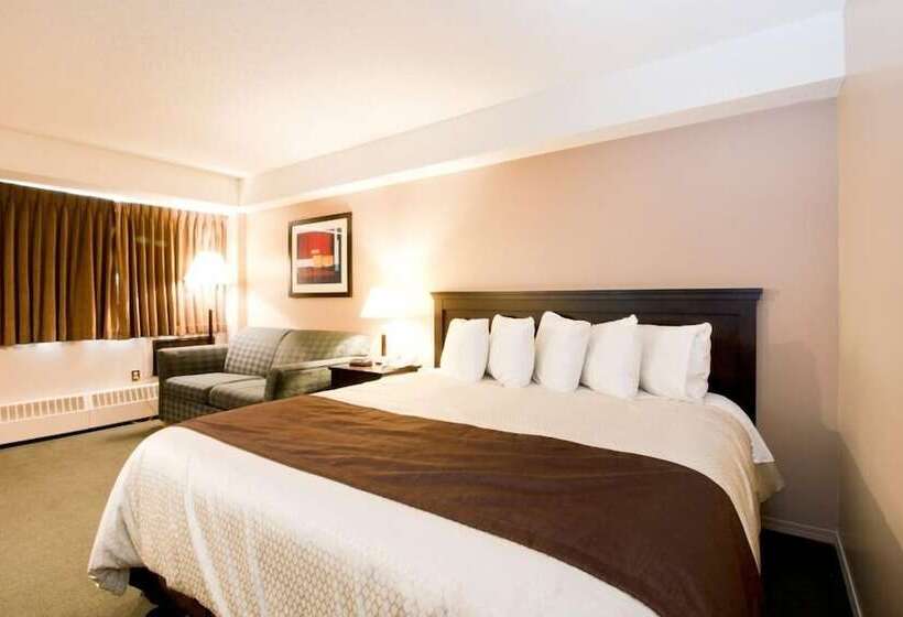 فندق Broadway Lodge