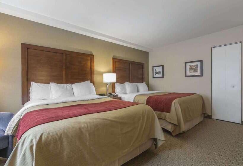 Отель Comfort Inn